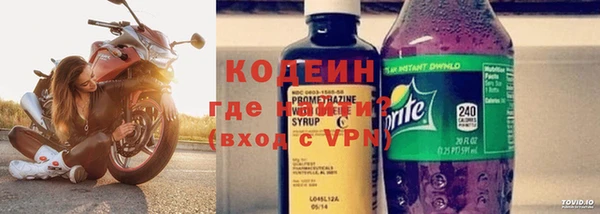 прущие грибы Иннополис