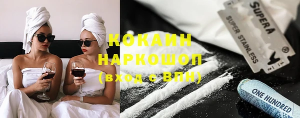 тгк Инсар