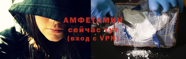 тгк Инсар