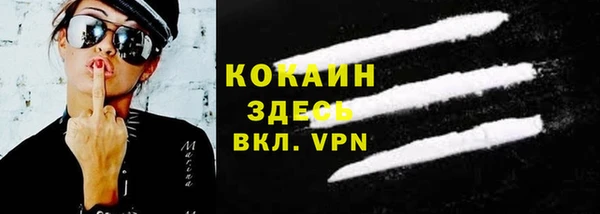прущие грибы Иннополис