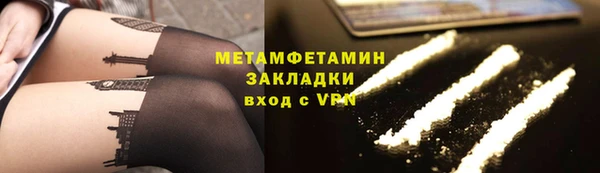 прущие грибы Иннополис