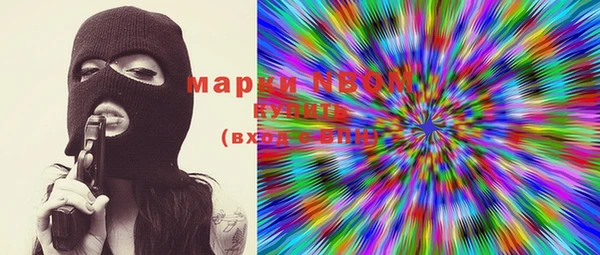 прущие грибы Иннополис