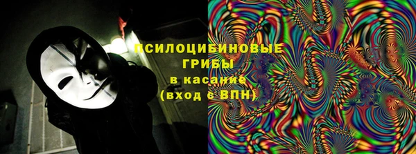 прущие грибы Иннополис