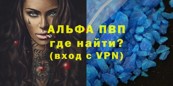 СК Инта