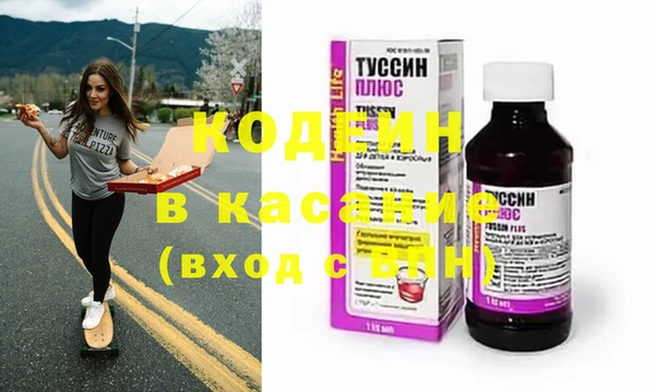 тгк Инсар