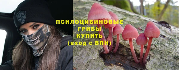 прущие грибы Иннополис