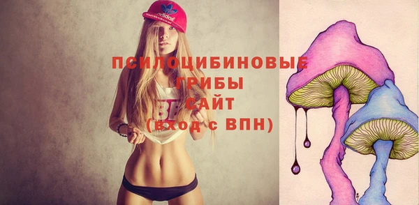 тгк Инсар