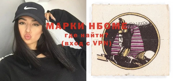тгк Инсар