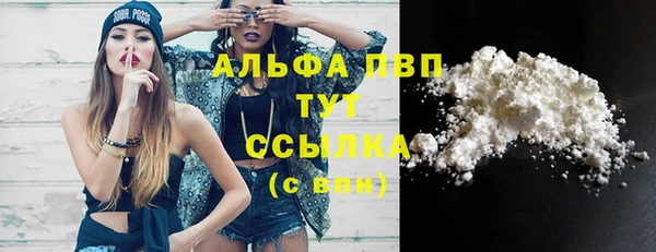 СК Инта