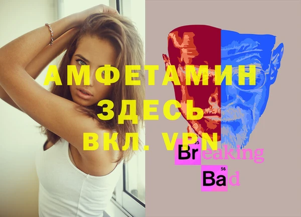 тгк Инсар