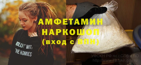 тгк Инсар